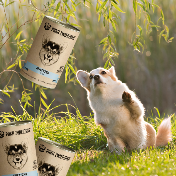 0bd681fbebec4c561e47ee3475f9a651.png