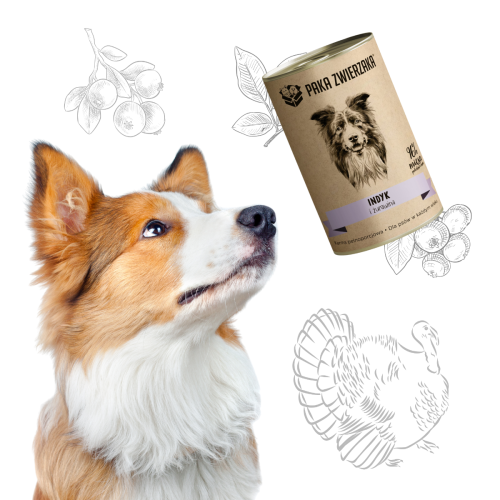 3c1cbbe452c9b597aa65eb70f3596118.png