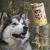 4bbdbb34d56e154ef24eb0071c30de7d.png