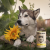 4c0a8eb024be05ef82f5b78086b42a09.png