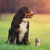 eb709ff9a03a02c5854604cceedee97a.png