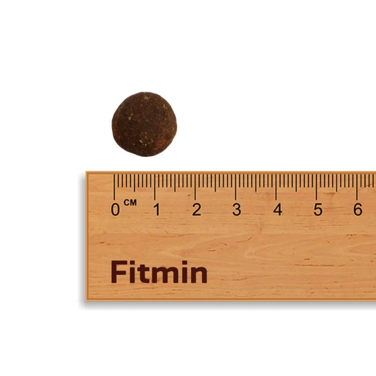 ac65ebc7678fe8ad3b3756dd31005b8d
