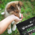 6a59647f3596c1cb83a8f7ee795931bf.png