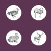 EDEN Country Feast (6).png