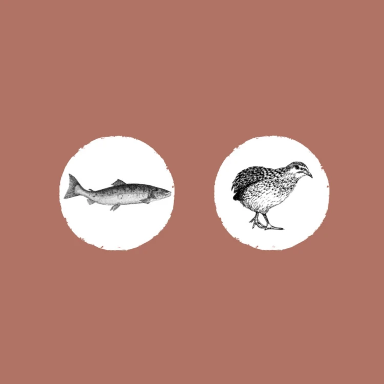 EDEN Salmon &amp; Quail (6).png