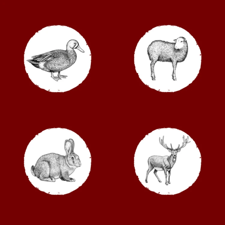 Country (2).png