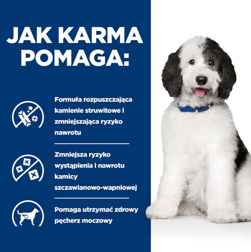 e11f5763f6b85743e4bdedbe708f7a5f