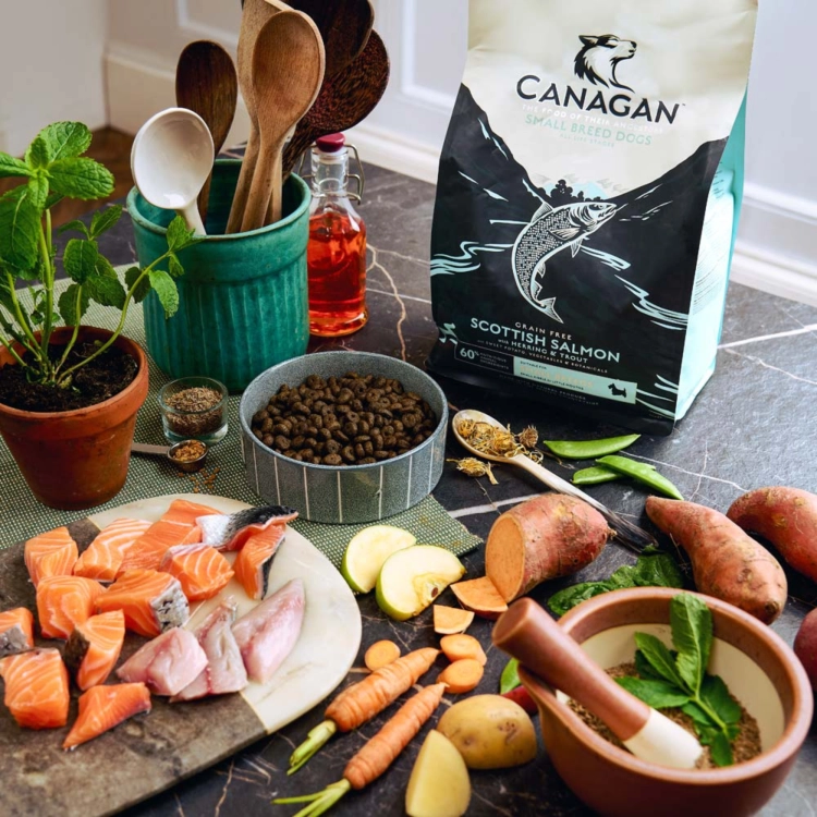 CANAGAN Scottish Salmon SMALL (2).png