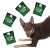 931c414c1af04c42e13bcc59b0a51396.png