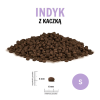 PZ Indyk z kaczką S.png
