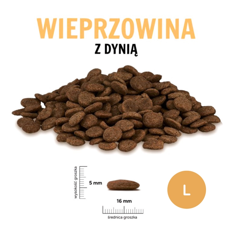 PZ Wieprzowina z dynią L.png