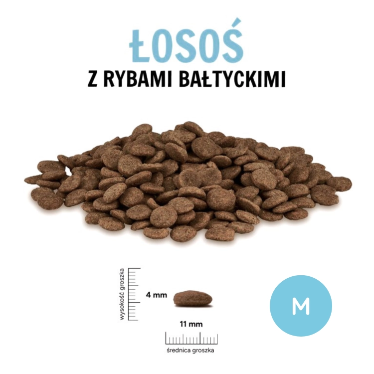 PZ Łosoś z rybami bałtyckimi M.png