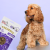 b85c4c3c78ff8a18608be6cb56675f5f.png