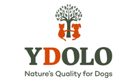 Ydolo