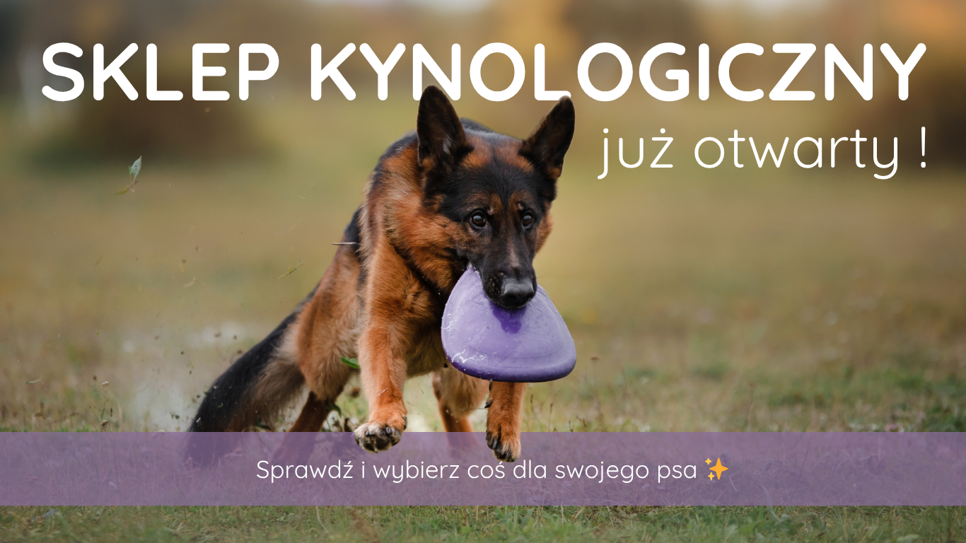 Sklep Pies w chmurach jest już otwarty!