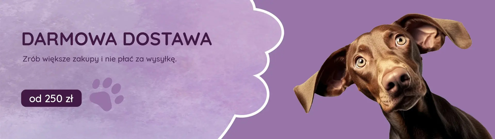 Darmowa dostawa