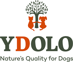 Ydolo